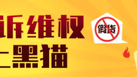 电竞鞋新品上市，明星效应引爆市场